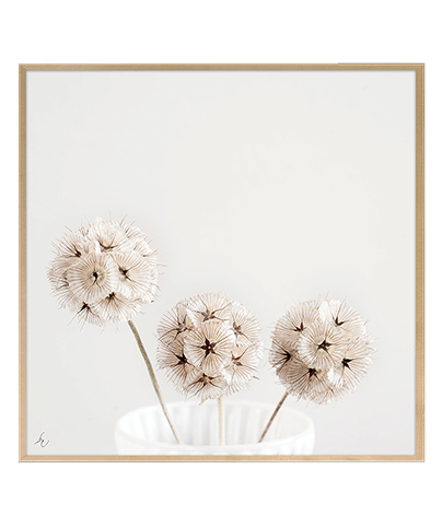 GOLF FLOWER_SQ
